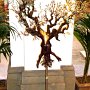 Albero della vita f